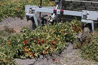 PTOM_Harvester_CA_00032