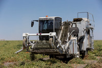 PTOM_Harvester_CA_00102
