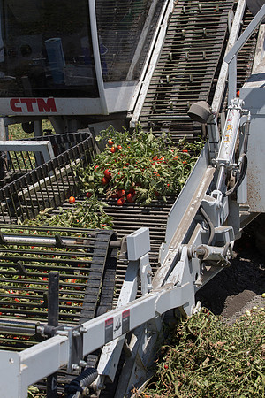 PTOM_Harvester_CA_00052