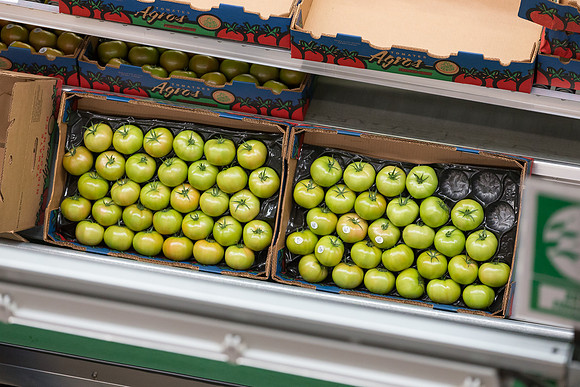 Tomato_Terero_MX_0268