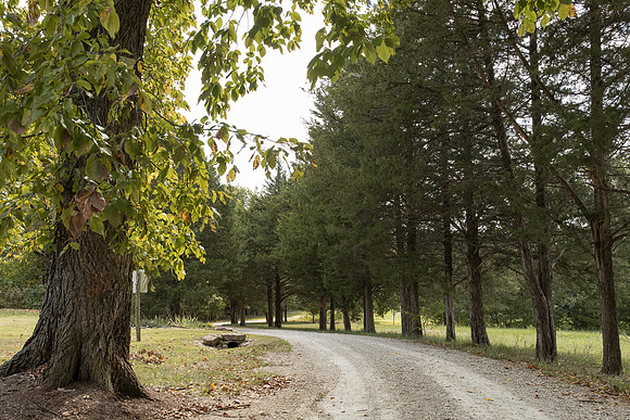 CedarCreek_cdp_0171