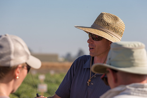 Melon_FieldDays_Woodland_CA_0026