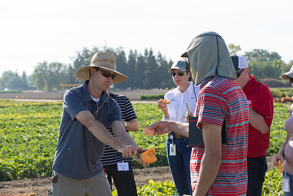 Melon_FieldDays_Woodland_CA_0054