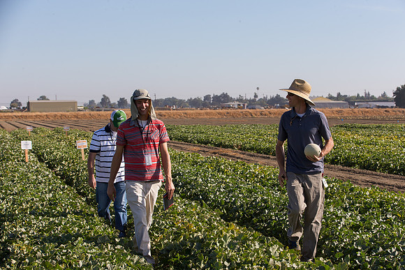 Melon_FieldDays_Woodland_CA_0090