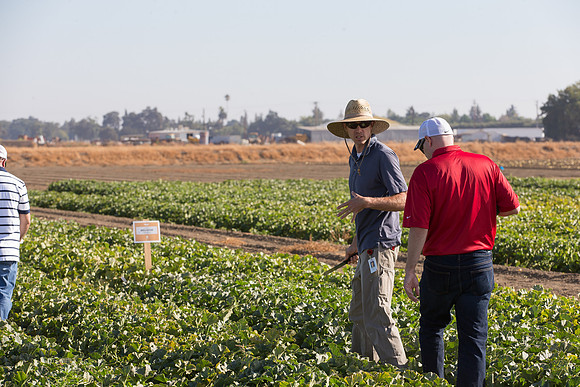 Melon_FieldDays_Woodland_CA_0065