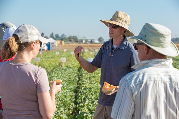 Melon_FieldDays_Woodland_CA_0024
