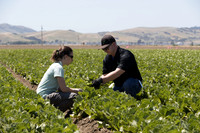 SanJuanBautista_CA_0077
