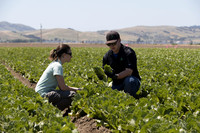 SanJuanBautista_CA_0073
