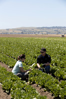 SanJuanBautista_CA_0080