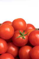 Tomato_HuskyCherryRed_0059
