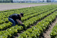 SanJuanBautista_CA_0034