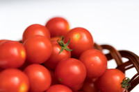 Tomato_HuskyCherryRed_0033