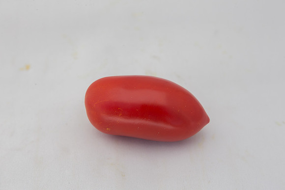 Tomato_SV2849TP_CA_00020