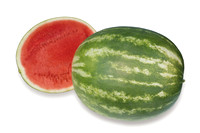 Watermelon_SVWA5203_CA_9