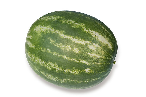 Watermelon_SVWA5203_CA_10