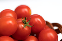 Tomato_HuskyCherryRed_0048