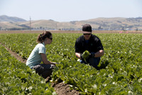 SanJuanBautista_CA_0070