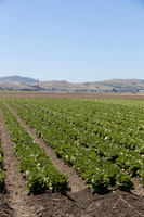 SanJuanBautista_CA_0018