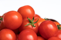 Tomato_HuskyCherryRed_0072