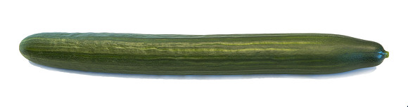 Cucumber_DRCE1258_0005