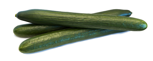 Cucumber_DRCE1258_0018