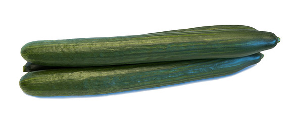 Cucumber_DRCE1258_0015