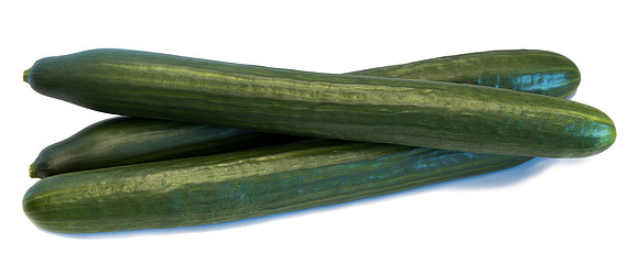 Cucumber_DRCE1258_0009