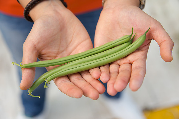 GreenBean_Alhama_MX_0154