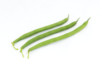 GreenBean_Alhama_MX_0109