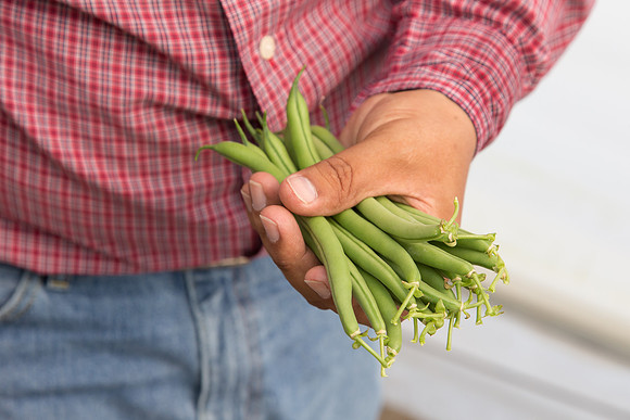 GreenBean_Alhama_MX_0134