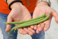 GreenBean_Alhama_MX_0145