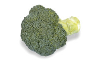Broccoli_B1199_CA_0053