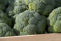 Broccoli_B1199_CA_0008