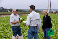 Lettuce_8143_CA_0028