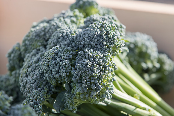 Broccoli_BC1611_CA_0012