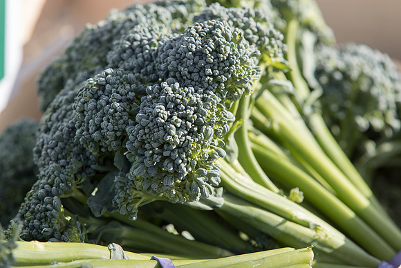 Broccoli_BC1611_CA_0010