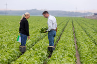 Lettuce_8143_CA_0007