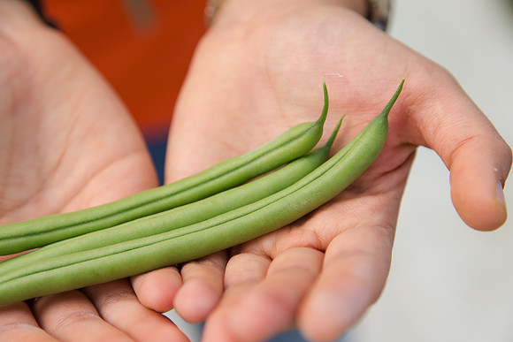 GreenBean_Alhama_MX_0150