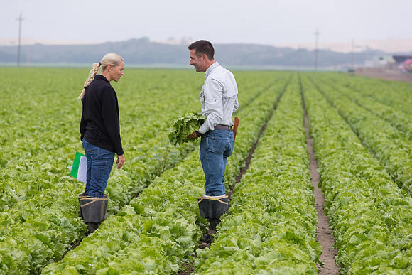 Lettuce_8143_CA_0010