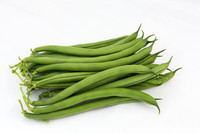 GreenBean_Alhama_MX_Group_0027