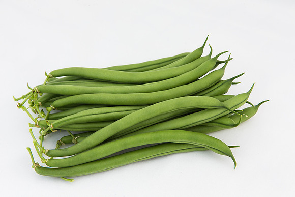 GreenBean_Alhama_MX_Group_0027