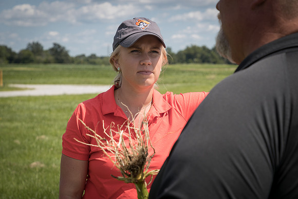 NL_Corn_072319_Carbondale_387