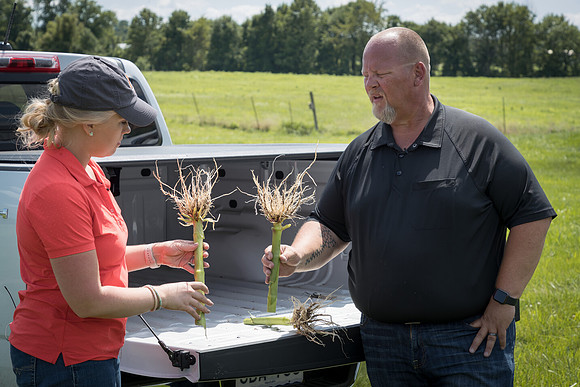 NL_Corn_072319_Carbondale_405
