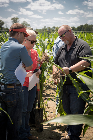 NL_Corn_072319_Carbondale_163