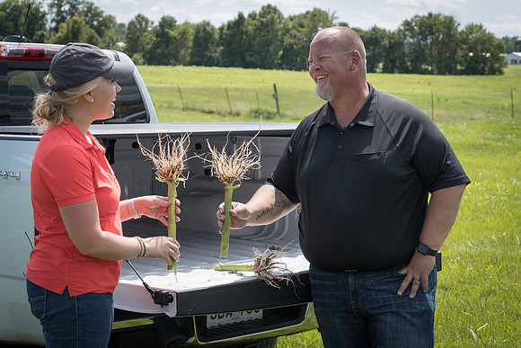 NL_Corn_072319_Carbondale_414