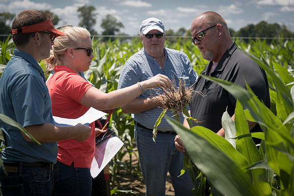 NL_Corn_072319_Carbondale_185