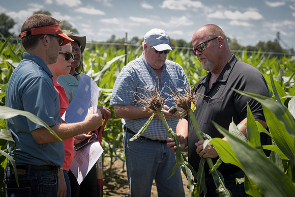 NL_Corn_072319_Carbondale_193
