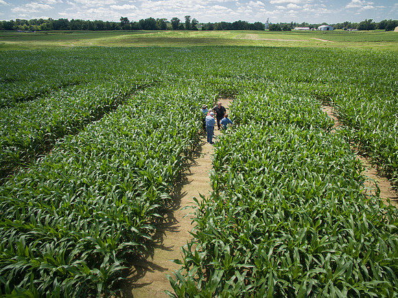 NL_Corn_072319_Carbondale_Aerial_04