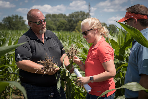 NL_Corn_072319_Carbondale_250