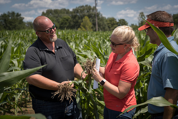 NL_Corn_072319_Carbondale_242
